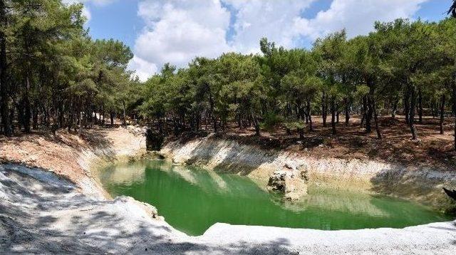 Kepez Park Orman Kapılarını Açıyor