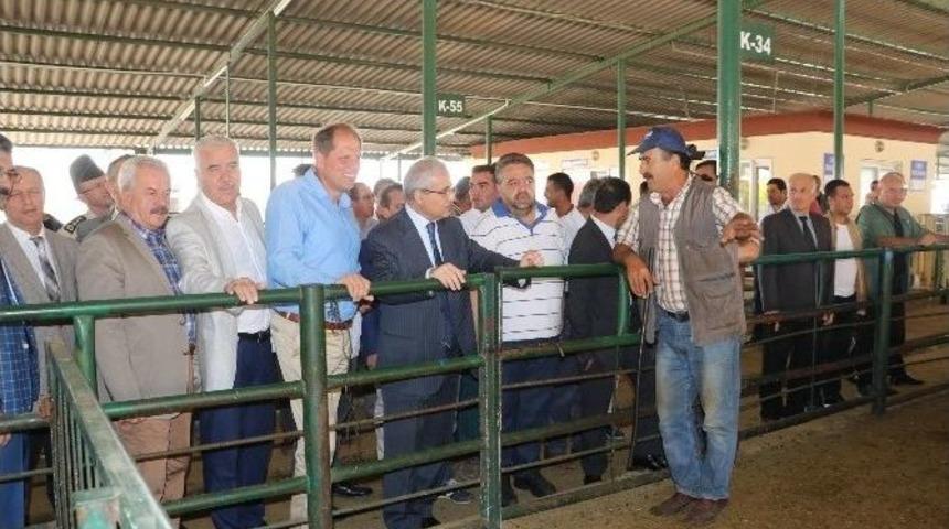 Vali G&uuml;ven&ccedil;er&rsquo;den Canlı Hayvan Borsası&rsquo;na Ziyaret