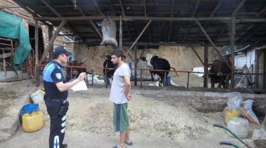 Boz&uuml;y&uuml;k&rsquo;te Kurbanlık Yetiştiricileri Hırsızlık Olaylarına Karşı Uyarıldı