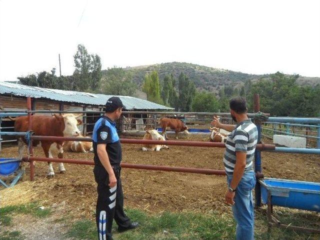 Bozüyük’te Kurbanlık Yetiştiricileri Hırsızlık Olaylarına Karşı Uyarıldı