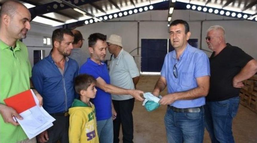 Makü’nün Yetiştirdiği Honamlı Keçiler, Satışa Sunuldu