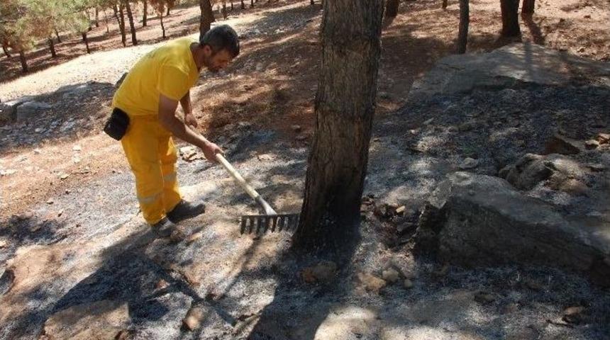 Adıyaman&rsquo;da, Orman Yangını