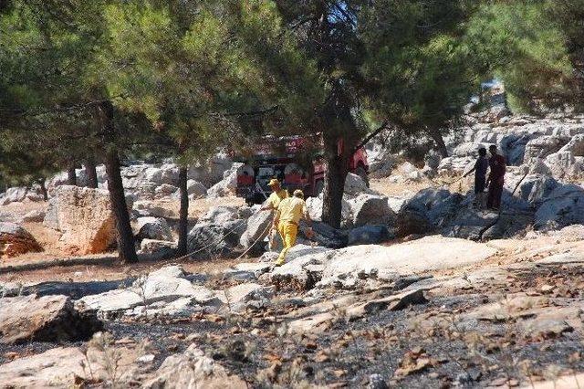 Adıyaman’da, Orman Yangını