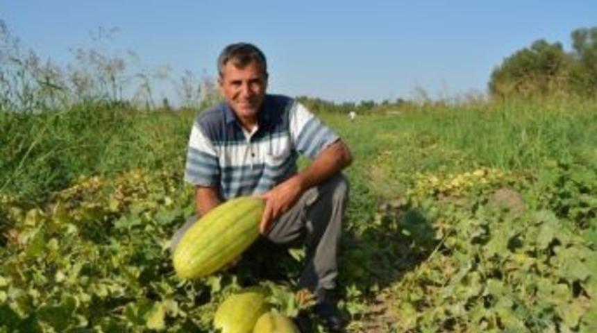 &Ouml;rnek &Ccedil;ift&ccedil;i Bir İlki Daha Başardı
