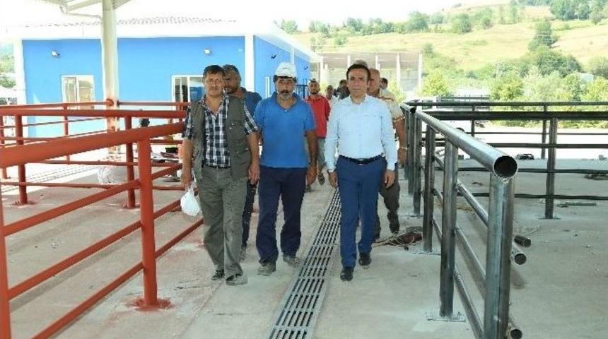 Canik&rsquo;ten Modern Kurban Satış Yeri