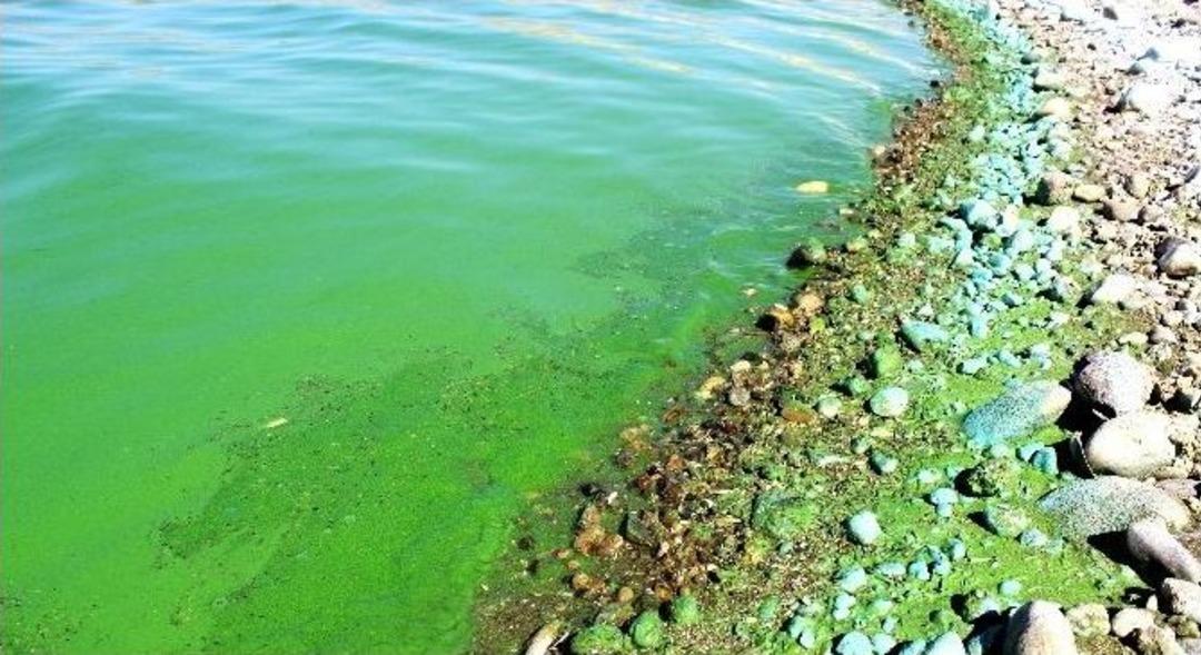 Atat&uuml;rk Barajı&rsquo;nın Oksijeni Bitti