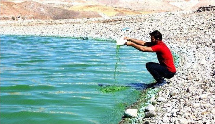 Atatürk Barajı’nın Oksijeni Bitti G3