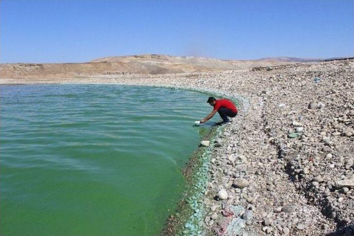 Atatürk Barajı’nın Oksijeni Bitti G5