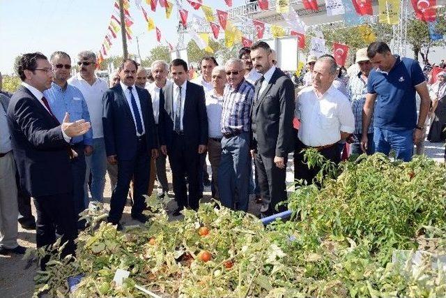 Özel Öğrenciler Hasat Şenliğinde Buluştu