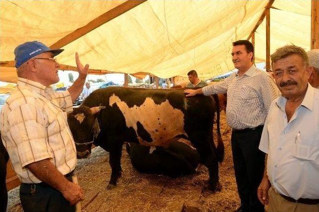 Osmangazi Kurban Bayramına Hazır