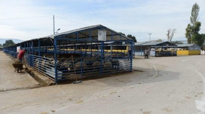 Nil&uuml;fer Kurban Bayramına Hazır