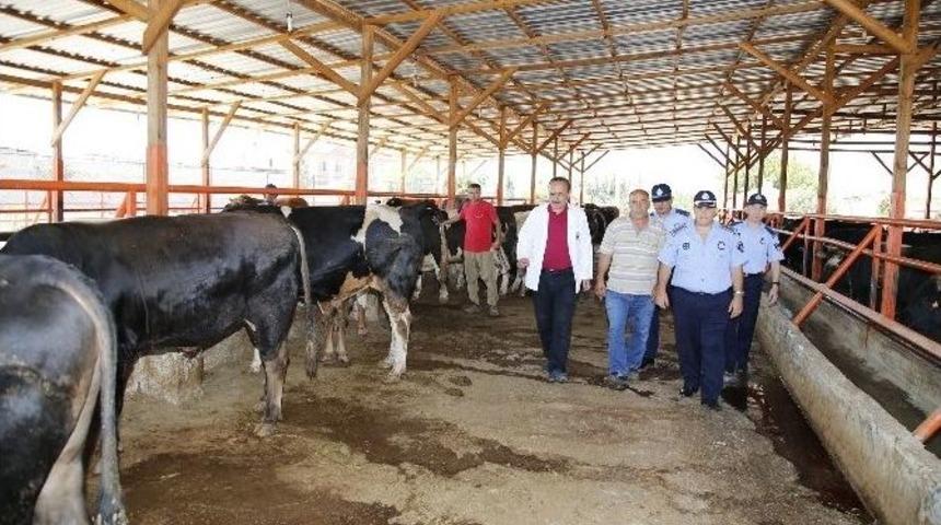 D&ouml;şemealtı Belediyesi Bayram Tedbirlerini Aldı