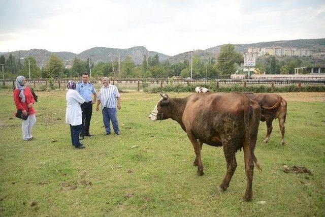 Kurban Bayramı Öncesi Kapsamlı Denetim