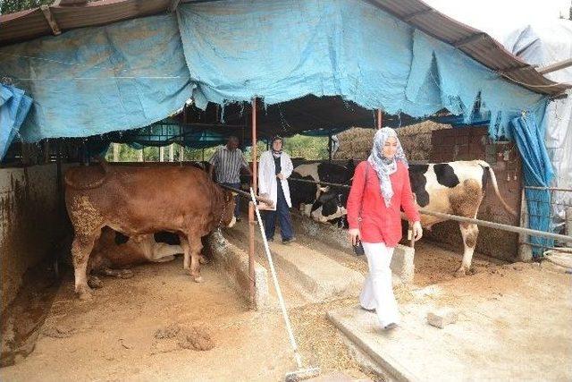 Kurban Bayramı Öncesi Kapsamlı Denetim