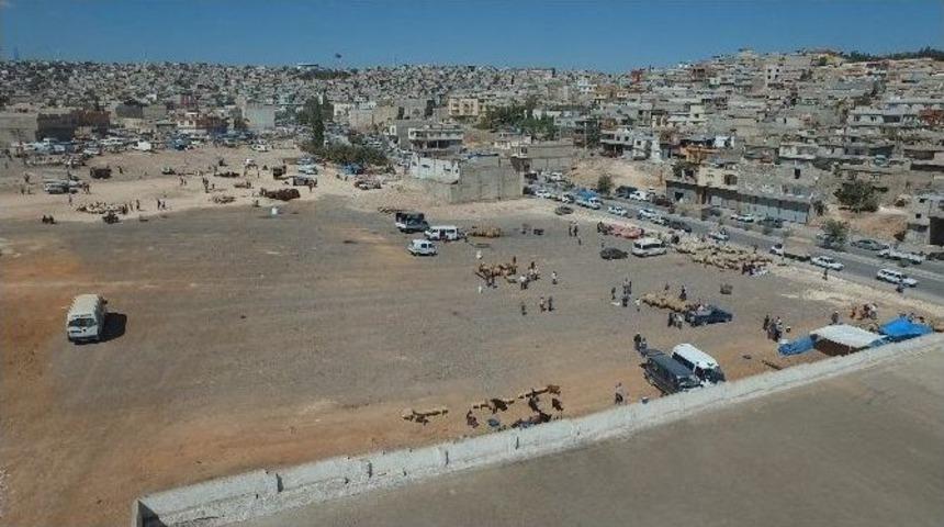 Kurban Satış Ve Kesim Yerleri Belirlendi