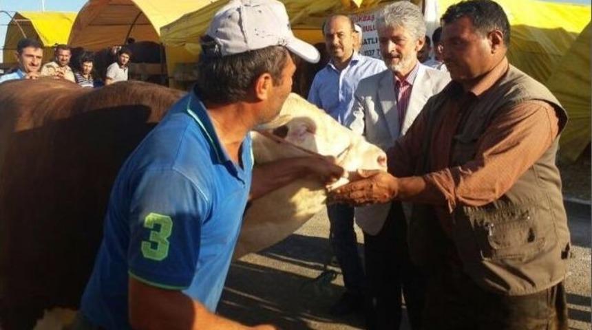 Sincan Belediyesi Kurban Bayramı Denetimlerine Devam Ediyor