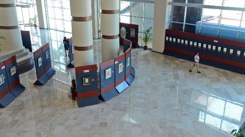 Minyat&uuml;r Doğa Sergisi Expo 2016&rsquo;da A&ccedil;ıldı