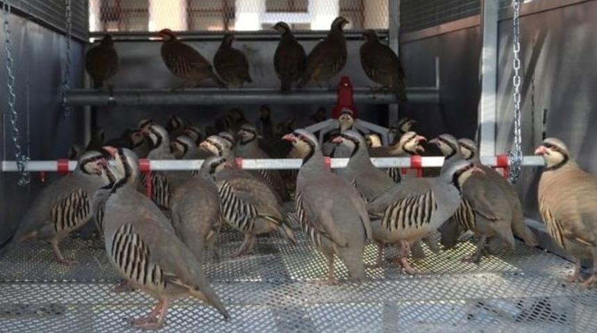 Orman Ve Su İşleri Bakanlığı Tabiatı Destekleme &Ccedil;alışmalarına Devam Ediyor