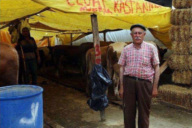 Kağıthane, Kurban Bayramı’na Hazır