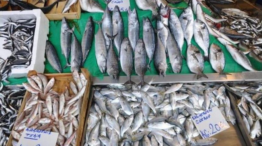 Uzmanlar Vatandaşlara Haftada En Az 2 Defa Balık Tüketmelerini Öneriyor