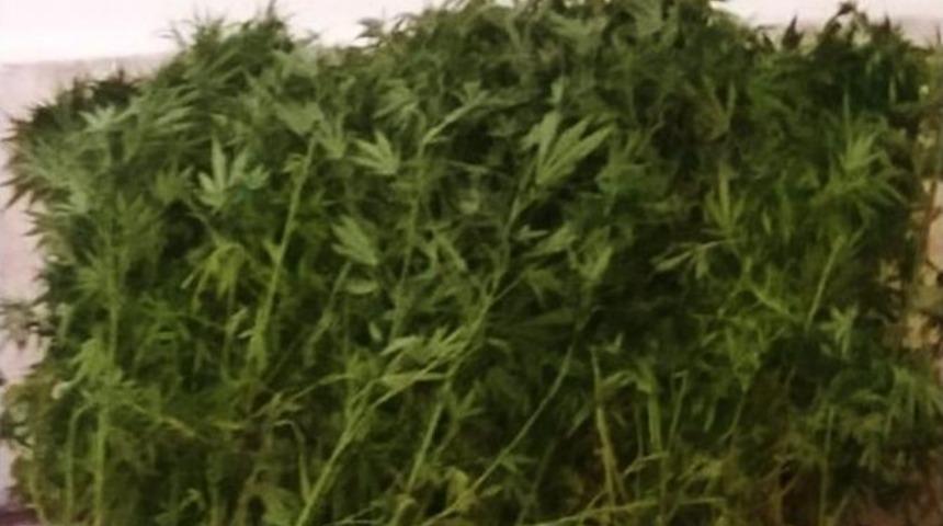 Kırklareli&rsquo;nde Ka&ccedil;ak Votka Ve Uyuşturucu Operasyonu