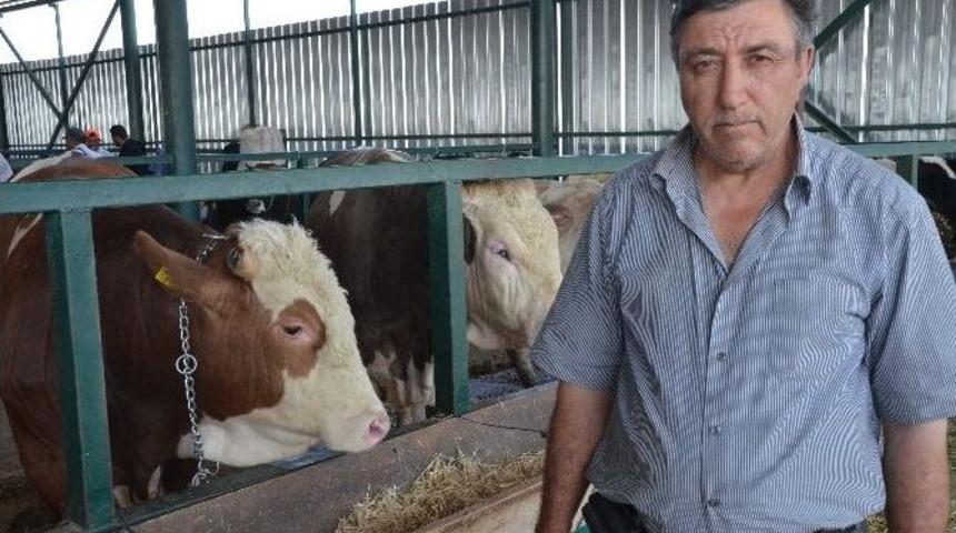 Ağrılı Besici Umduğunu Bulamadı