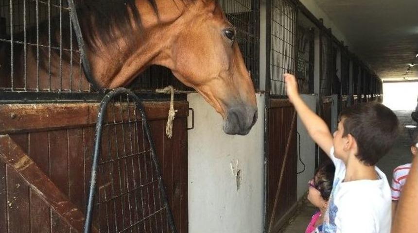 Otizmli Minikler, Aileleriyle Birlikte Hem Tatil Yapıyor Hem Terapi Eğitimi Alıyor