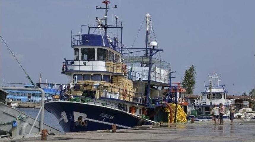 Marmara&rsquo;da Hamsi Bereketi