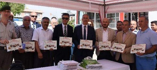 İncirliova İncir Ve Kültür Festivali Başladı