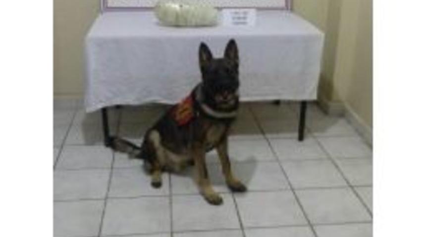 &Ccedil;uval İ&ccedil;erisinde Esrar Ele Ge&ccedil;irildi