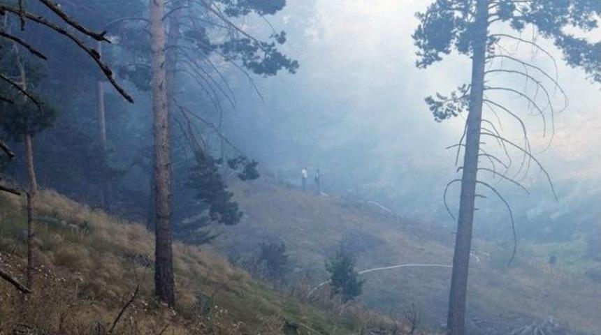 Yozgat&rsquo;ta Orman Yangını