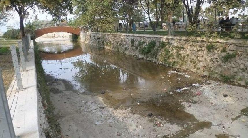 Mudanya&rsquo;da Dereler Mikrop Sa&ccedil;ıyor