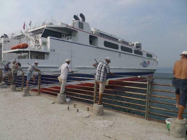 Mudanya’da Dereler Mikrop Saçıyor 1