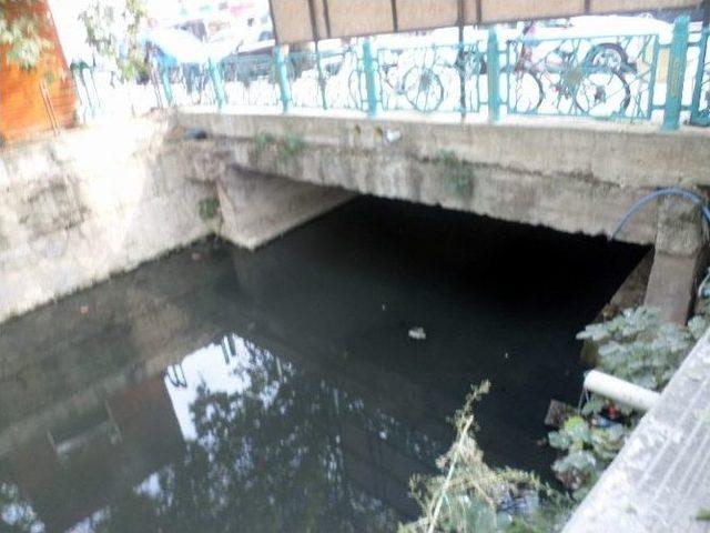 Mudanya’da Dereler Mikrop Saçıyor 2