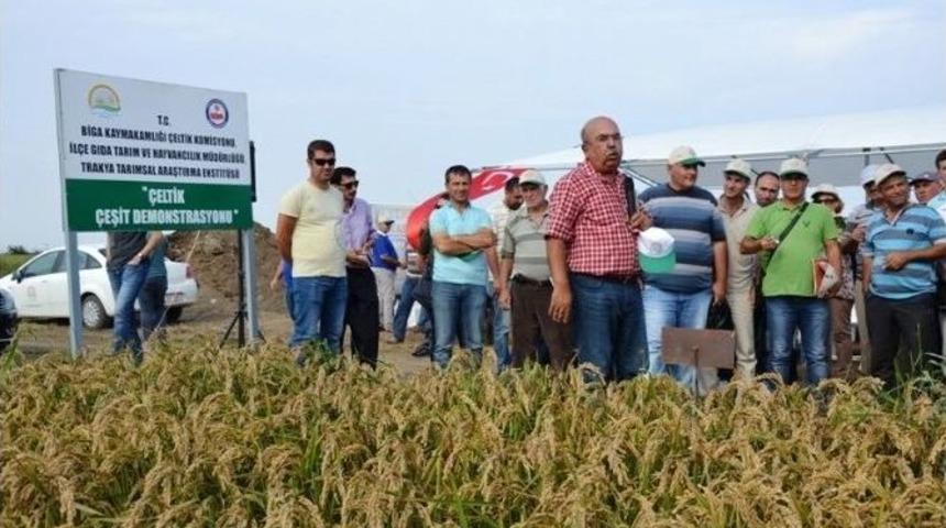 Biga&rsquo;da Tarla G&uuml;n&uuml; Etkinliği