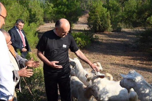 Bakan Müezzinoğlu Çobanlara Seslendi: 