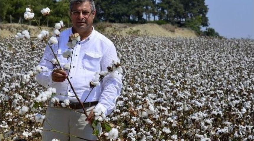 &Ccedil;ift&ccedil;iler Pamukta Daha Fazla Destek İstiyor