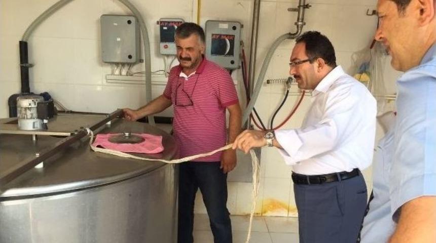 &Ouml;rnek Hayvancılık İşletmesinde İncelemelerde Bulunuldu