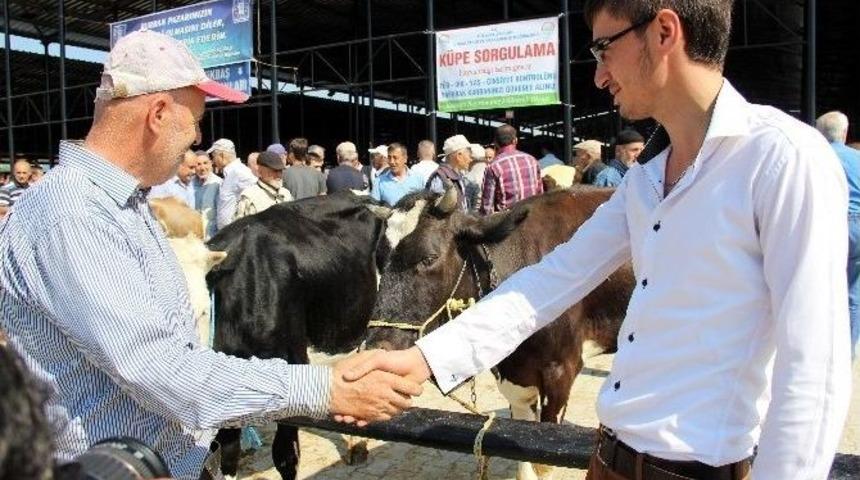 Kurbanlık Se&ccedil;iminde P&uuml;f Noktalar