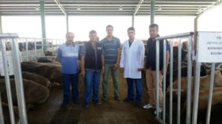 Bayram&rsquo;da Boğa Timi G&ouml;rev Yapacak