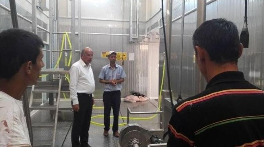 S&ouml;ğ&uuml;t&rsquo;te Yeni Mezbahane Kurban Bayramı&rsquo;na Hazırlanıyor