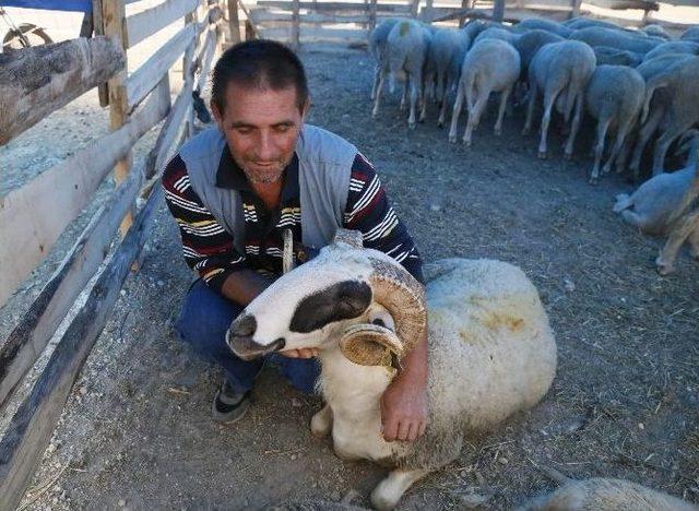 Kotralar Kurulmaya Başlandı