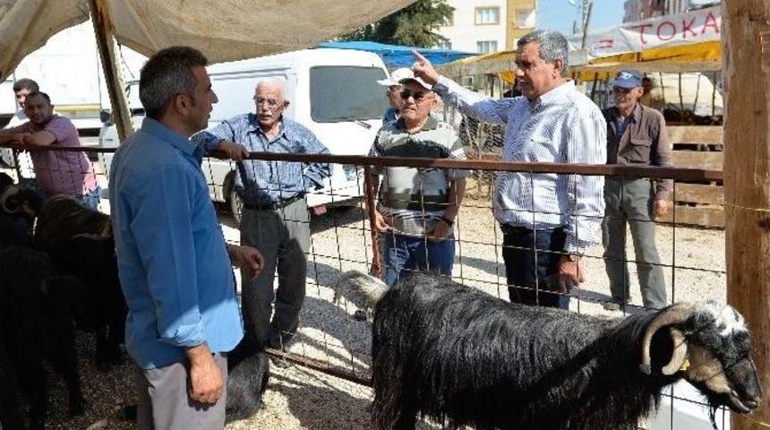 Muratpaşa Bayrama Hazır