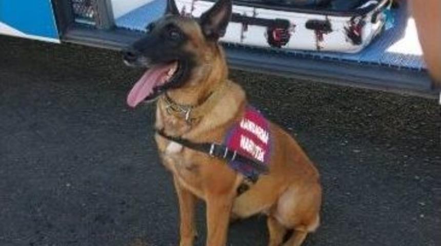 Jandarma&rsquo;dan Uyuşturucu Operasyonu