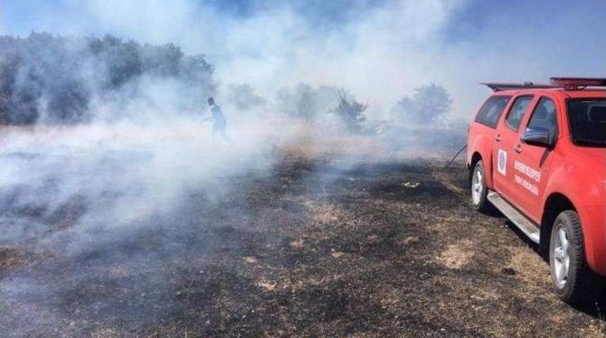 Sarıyaprak Mevkiinde Ki Arazi Yangını S&ouml;nd&uuml;r&uuml;ld&uuml;