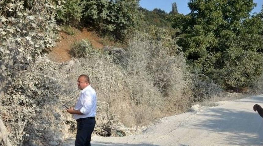 Gider El Attı, O Yolda &Ccedil;alışmalar Başladı