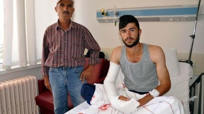 S&uuml;r&uuml;y&uuml; Korumak İsterken Domuzun Saldırısına Uğradı