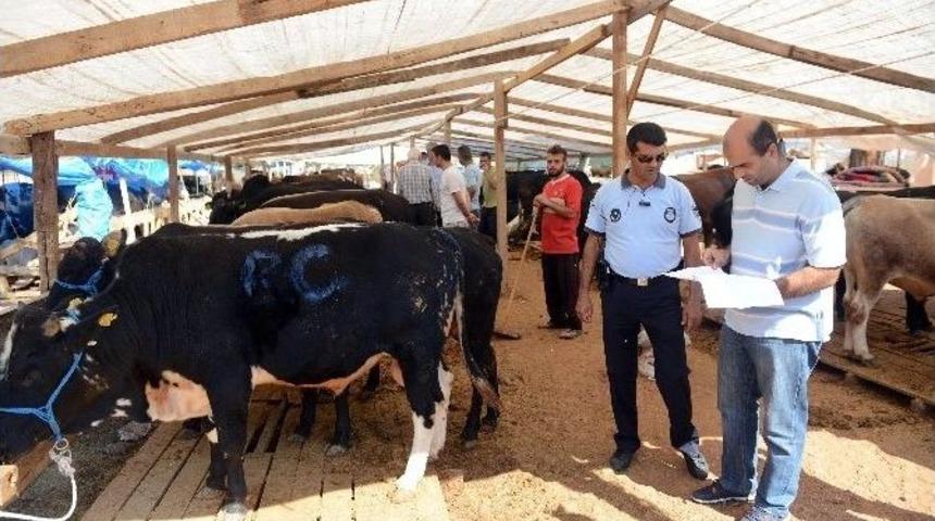 B&uuml;y&uuml;kşehir&rsquo;den Kurban Satış Yerlerine Denetim