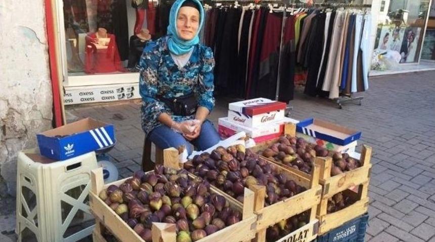 İncir Alternatif Gelir Kaynağı Oldu