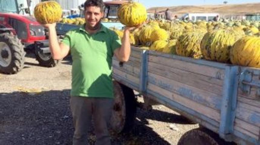 Sincan Kavunu T&uuml;keticiyle Buluştu